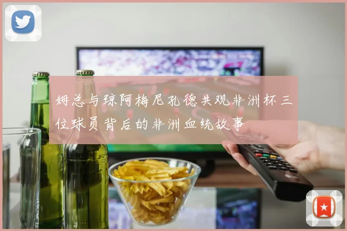 姆总与琼阿梅尼孔德共观非洲杯三位球员背后的非洲血统故事